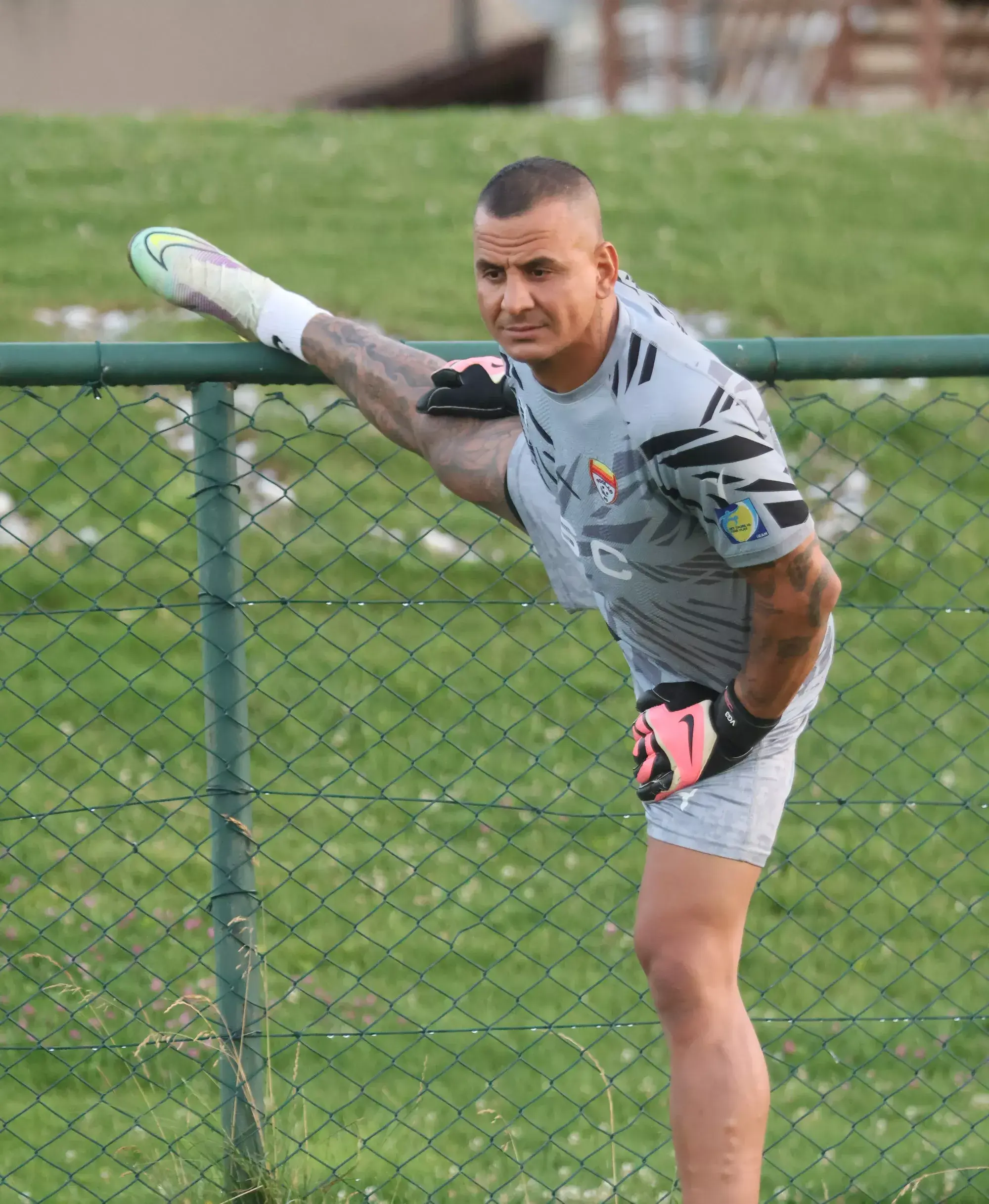 حامد لک