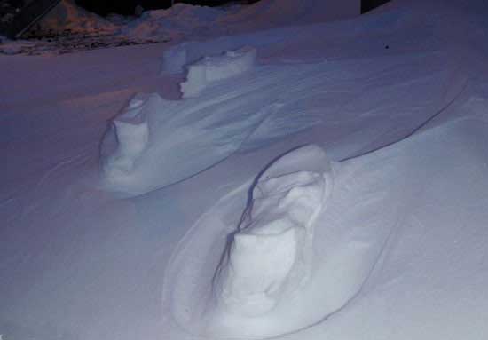 Discover-the-strange-traces-on-snow-Photo4