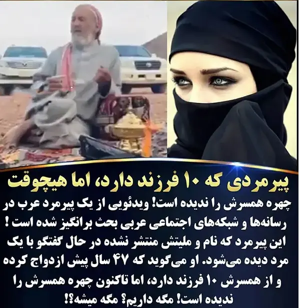 پیرمرد14