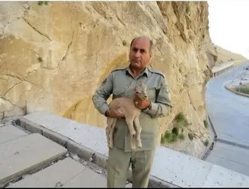 شهید77