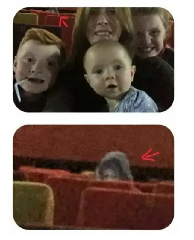 شبح