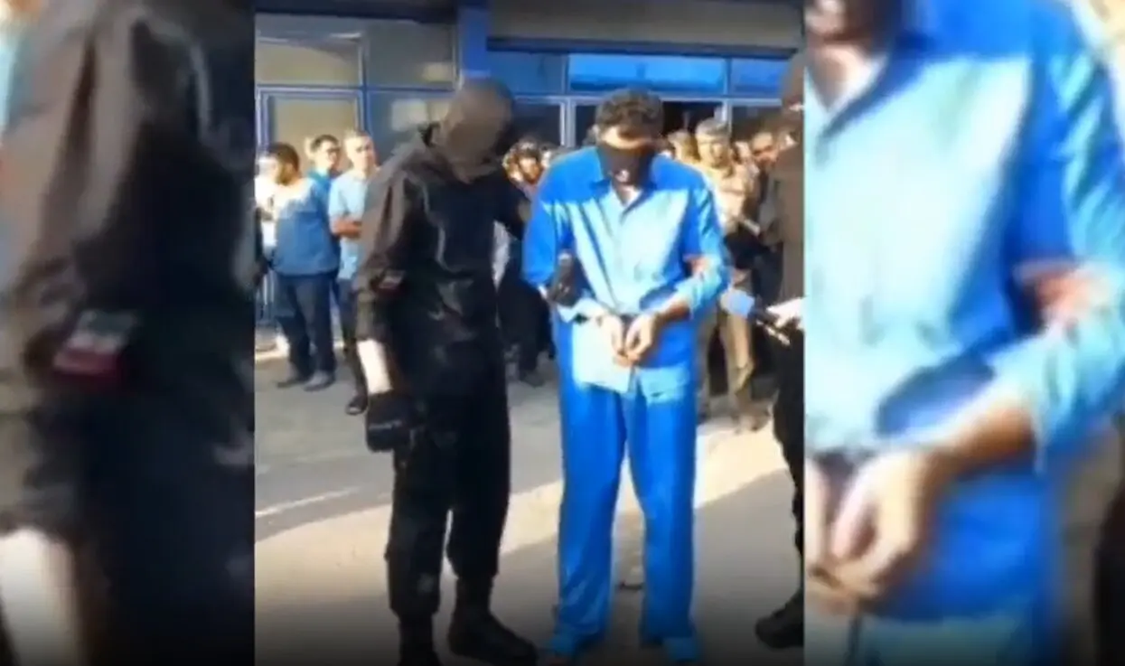 گوش بر