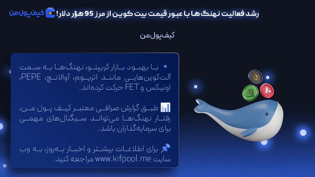 نهنگ رپرتاژ