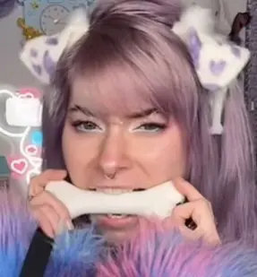 سگ45