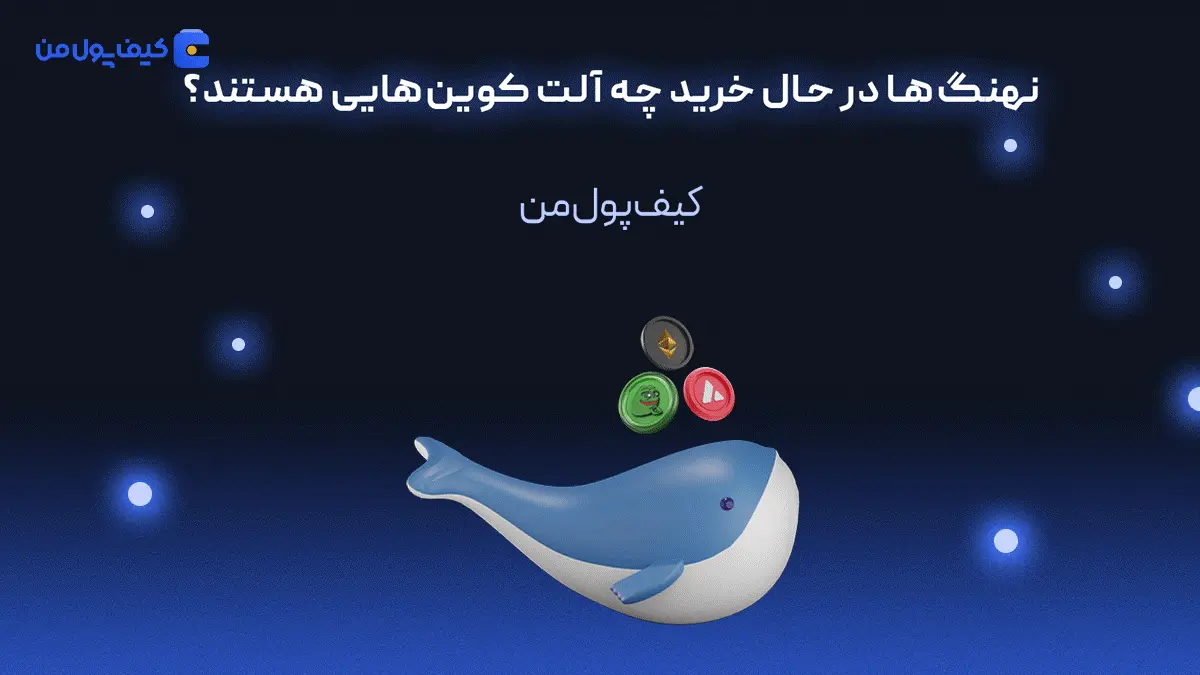 نهنگ رپرتاژ
