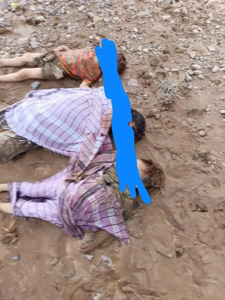 سیل1