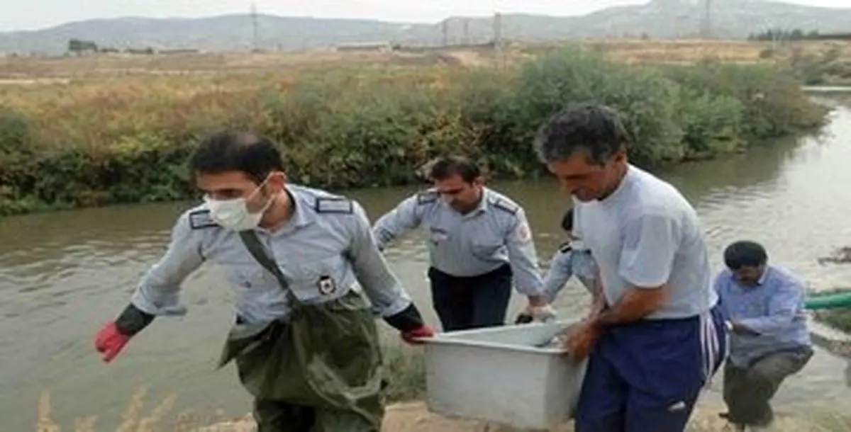 کشف یک جسد مرد 45 ساله با هویت نامشخص