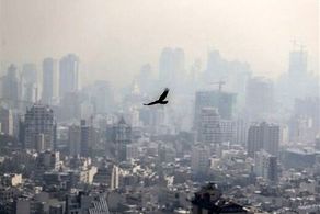 خبر فوری درباره آلودگی هوای کلانشهرها