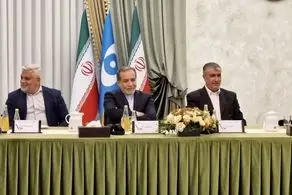 اعضای نهاد بین‌المللی مقابله با سلاح‌های هسته‌ای با مسئولان ایرانی دیدار کردند 