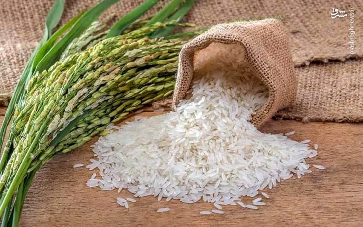 قیمت برنج کاهش می یابد