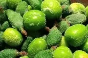 خطر مسمومیت شدید با مصرف این نوع چغاله‌