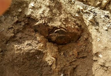 کشف یک دیواره تاریخی در همدان