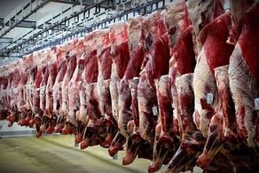 کاهش قیمت گوشت قرمز ظرف ۴۸ ساعت!
