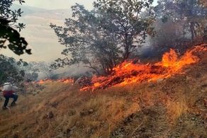 وقوع آتش سوزی در بیش از ۱۳ هکتار از عرصه های جنگلی گیلان
