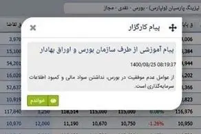 پیام عجیب سازمان بورس در پورتفوی سهامداران !