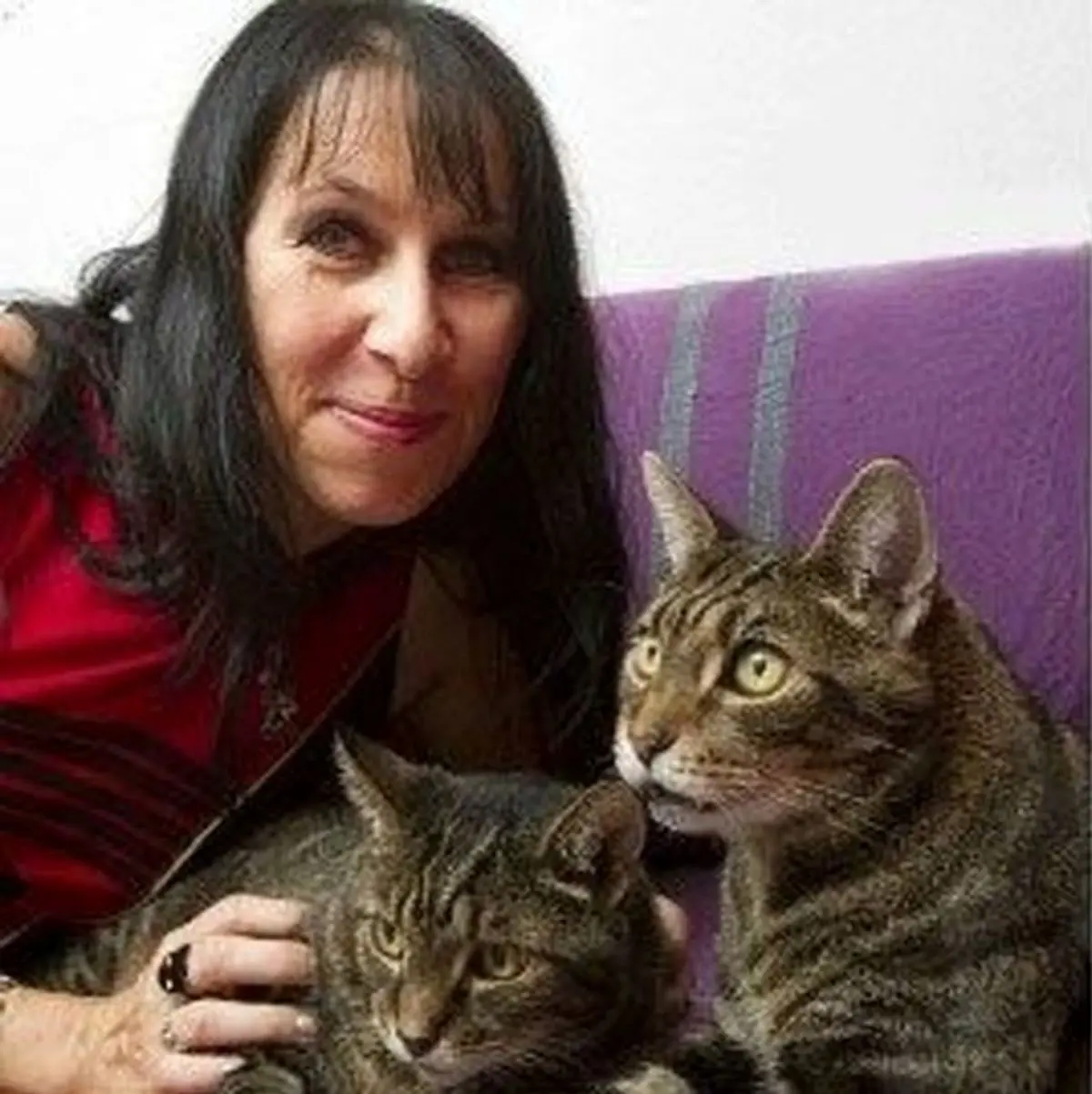 ازدواج بی‌شرمانه زن با دو گربه!+عکس