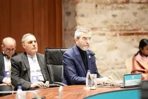 یک دقیقه سکوت به احترام شهید رئیسی و هیات همراه در نشست دی-هشت| ابتکار ایران برای تحریم کالاهای اسرائیلی