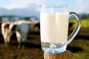 قیمت شیر افزایش می یابد؟