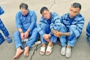 دزدی برای دیدار یک خواننده در زندان/ دستگیری سارق 73 ساله  وپسر جوانی که برای دیدن تتلو دست به سرقت زد!