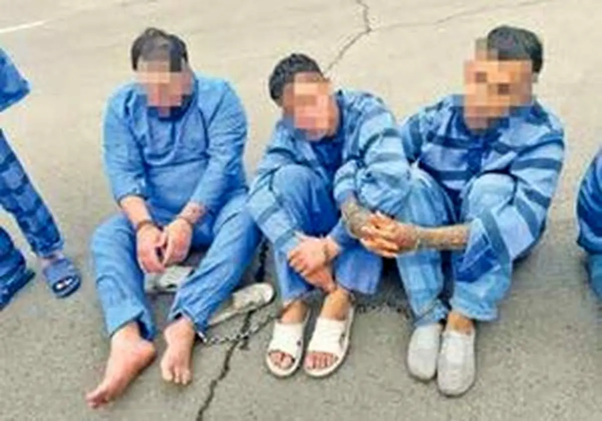 دزدی برای دیدار یک خواننده در زندان/ دستگیری سارق 73 ساله وپسر جوانی که برای دیدن تتلو دست به سرقت زد!