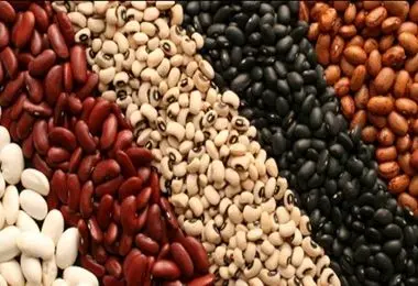 قیمت لوبیا در بازار هم‌قیمت گوشت شد