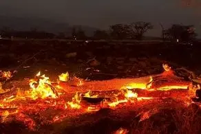 جدیدترین وضعیت آتش سوزی در جنگل‌های غرب کشور