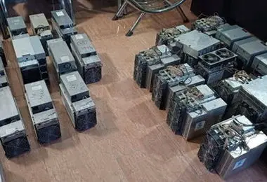 افعی برق‌خوار ایران شناسایی شد