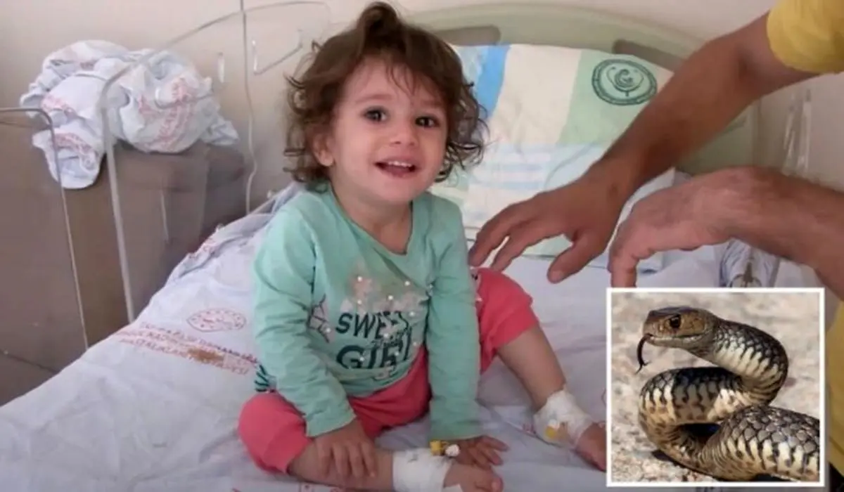  اتفاق خارق العاده؛ کودک ۲ ساله مار سمی را با دندان هایش کشت+ تصاویر