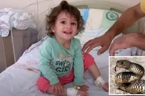  اتفاق خارق العاده؛ کودک ۲ ساله مار سمی را با دندان هایش کشت+ تصاویر