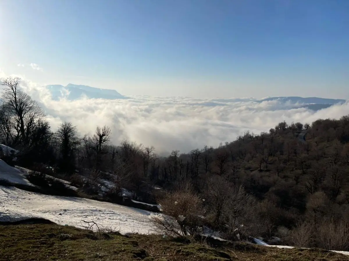 تارزان واقعی پس از 43 سال از دل جنگل پیدا شد/ عکس چهره باورنکردنی