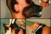 عجیب ترین جراحی صورت در دنیا/ پسر جوان صورت سگ مرده را به صورت خود پیوند زد!+ عکس