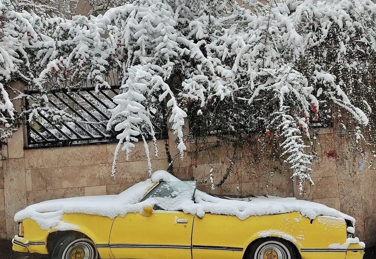 در این نقطه از ایران یک متر برف بارید 