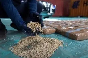 «کپتاگون» چیست و چرا باید از این ماده مخدر  وحشت داشت؟