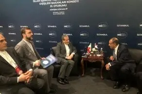 تمجید عراقچی از نقش سازنده مصر در محکومیت جمعی جنایات رژیم صهیونیستی 