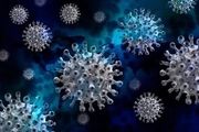 تفاوت بین علائم آنفلوآنزا و سویه جدید کرونا را بشناسید!