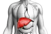 این علائم از بیماری‌های کبدی خبر می‌دهند