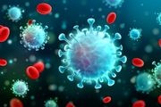 شناسایی و اعلام رسمی نخستین داروی موثر بر ویروس کرونا 
