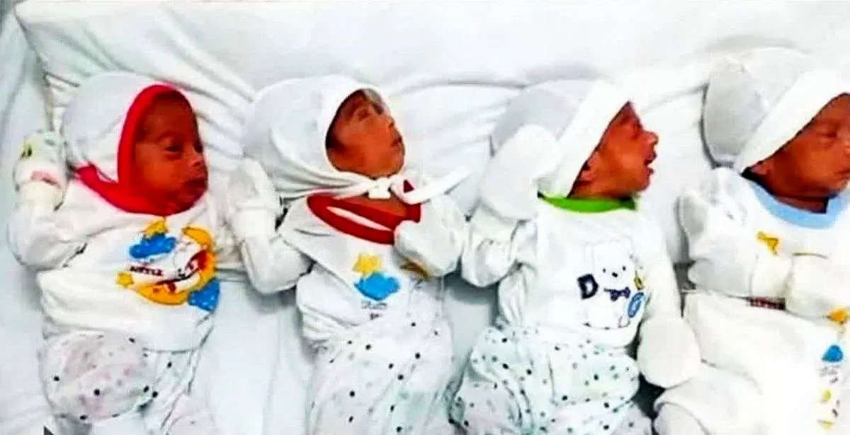 اولین نوزادان ۴ قلو در سال جدید بدنیا آمدند + عکس 
