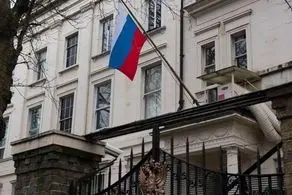 دیپلماسی فلفلی از سر گرفته شد/ ابراز رضایتمندی سفارت روسیه از فلفل های ایرانی