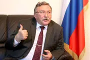 اولیانوف به خبر صدور قطعنامه علیه ایران واکنش نشان داد