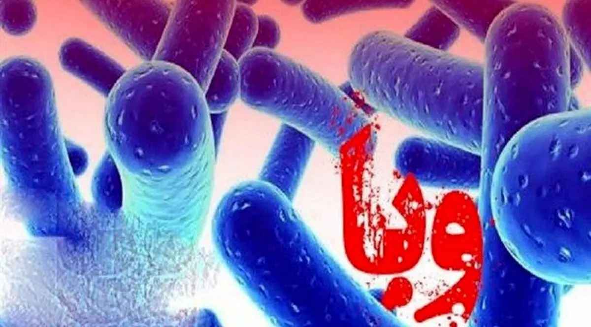 افزایش بیماری‌های گوارشی در تابستان/ باکتری وبا، سویه‌های گوناگونی دارد