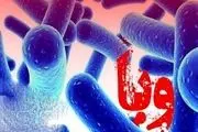افزایش بیماری‌های گوارشی در تابستان/ باکتری وبا، سویه‌های گوناگونی دارد