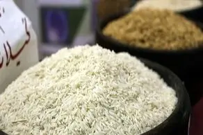 قیمت انواع برنج ایرانی در بازار + جدول