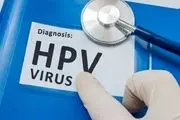 ماجرای شیوع بالای HPV در تهران چیست؟