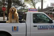 شهردار این شهر یک سگ است! + عکس