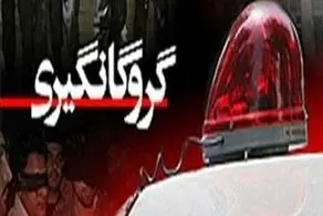 جزئیات گروگانگیری مسلحانه در شرق تهران