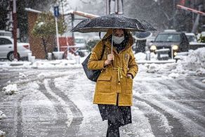 اعلام زمان بارش برف در تهران و البرز