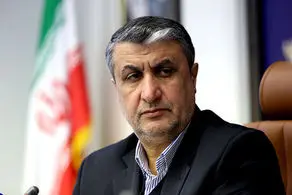دوربین‌های ایران در چه صورتی روشن می‌شوند؟/ رئیس سازمان انرژی اتمی پاسخ داد