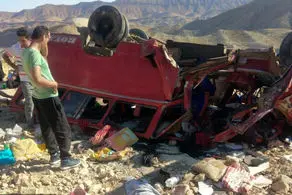 ۱۹ کشته و زخمی درپی سقوط وحشتناک مینی بوس کارگران به دره در جاده دشتستان / فیلم