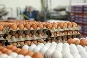  قیمت تمام شده تخم مرغ درب مغازه ۱۵۳۵ تومان است/ فروش تخم مرغ ۲۰۰۰ تومانی منطقی نیست/ باز هم پای دلالان در میان است